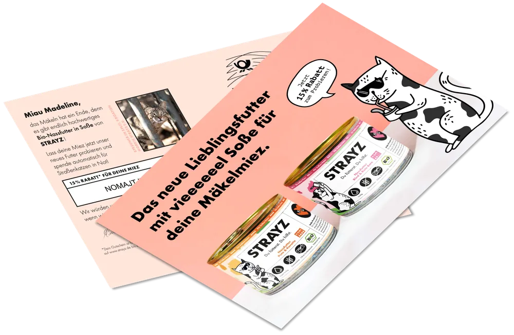 Front and back of the STRAYZ launch campaign postcard