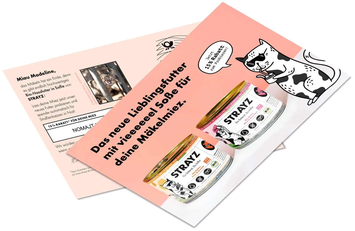 Campaign visual for Product launch as winback: how STRAYZ won back lost customers and reached 483% ROAS