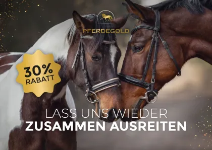 Pferdegold Winback-Postkartenmotiv mit 30 % Rabatt für eine PostPal Direct-Mail-Kampagne