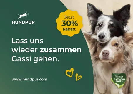 Hundepur postcard design from a PostPal direct mail campaign