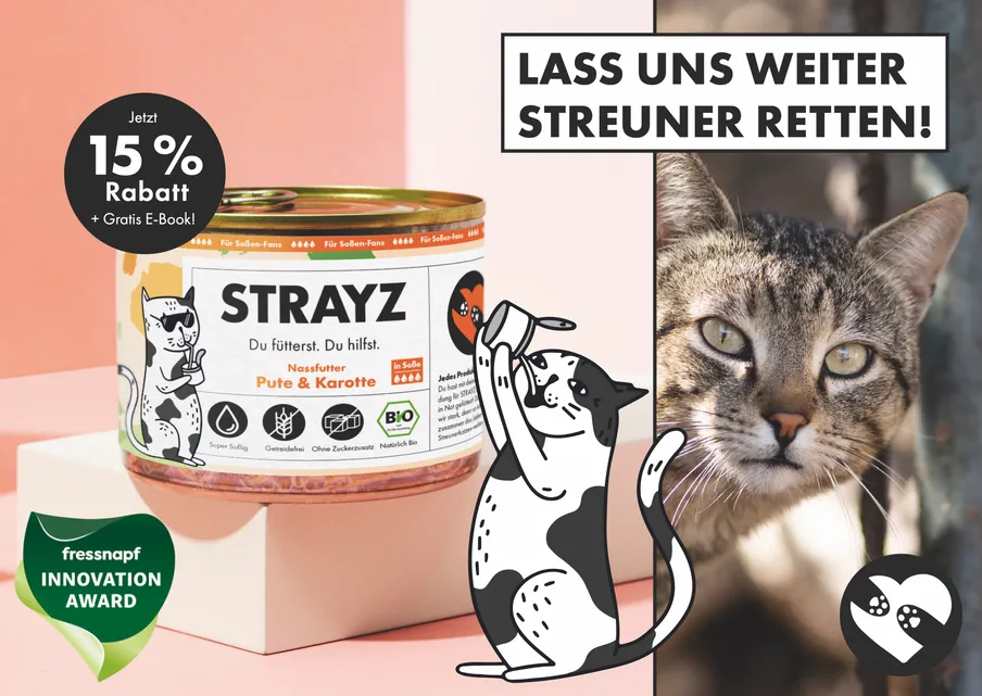 STRAYZ postcard design with a cat motif from a PostPal campaign