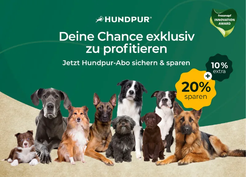 Hundpur Abo-Upsell-Postkarte mit Hundegruppe, Sparversprechen und Abo-Angebot, gedruckt und versendet mit PostPal zur Subscription-Aktivierung