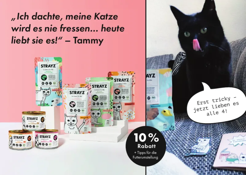 STRAYZ Zweitkäufer-Postkarte mit Katzenfutter-Produkten, Kundenstimme und 10 Prozent Rabatt, gedruckt und versendet mit PostPal zur Zweitkäufer-Aktivierung